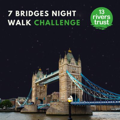 7 Bridges Night Walk with 13 Rivers Trust - Online fundraising ...